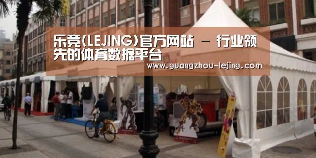 案例标题九